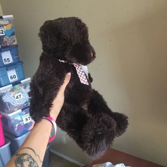 Brown Bear - Picture 4 of 11